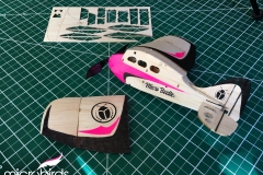 1_speedy-bee-tom-clansy-micro-beetle-lazy-bee-mini-small-rc-balsa-airplane-microbirds-3ch-radio-controlled