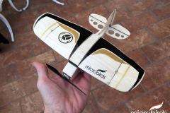 RC-Micro-Beetle-Ultra-Small-Ultra-Light-Ultra-Fun-radio-controlled-micro-beetle-microbirds-fly-rc-airplanes-horizon-hobby