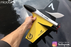 worlds-fastest-rc-electric-jet-radio-controlled-fast-airplane-jet-fighter-microbirds