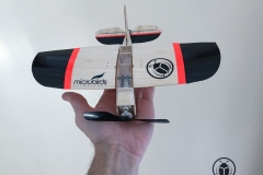 worlds-smallest-airplane