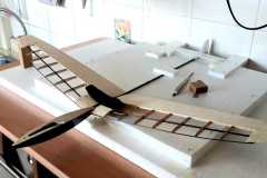 Concept-CX5-Pro-F3K-DLG-glider