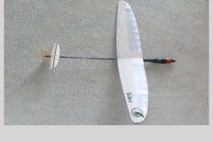 Progress-DLG-F3K-Glider