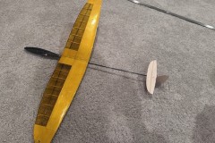 feather-glider-RC-radio-contrlled-microbirds-devient-DLG