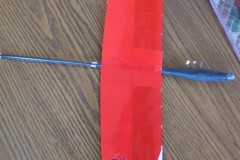 feather-glider-microbirds-devient-2-soaring-usa-horizon-DLG