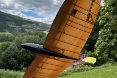 tiny-tail-glider-kit-micro-birds-fly-rc