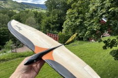 tiny-tail-micro-birds-bird-glider-rc