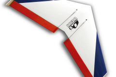 1_Halfbad-flying-wing-slope-soaring-glider-kit