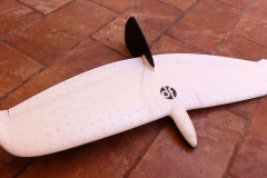 Dream-Flight-Alula-evo-glider-radio-control-soaring-bird-plane-rc