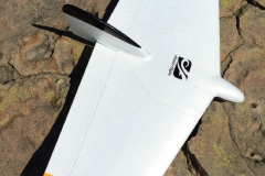 Dream-Flight-Weasel-Trek-GliderS-Sloper-Slope-Slut-f3b-molded-composite-rc-plank-glider-plane