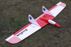 Hoodlum-flying-wing-rc-glider-delta-bird-like