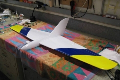 Molded-JW-rc-plane-delta-wing
