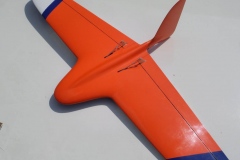 Savage-30-DS-dynamic-soaring-fast-delta-wing-glider-composit-kevlar-carbon-fiber-glass-hobby