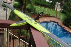 birdwork-zipper-rc-delta-wing-glider