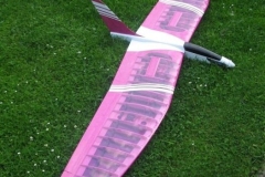 delta-wing-powered-glider