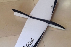 1_Discuss-Launch-Gliders-DLG-RC-Gliders-Ultralight-Radio-Controlled-glider