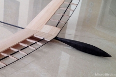 1_microbirds-ultarlight-DLG-feather-rc-glider-2019-design-prototype-4