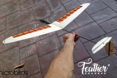 DLG-GLiders-microbirds-RC-Gliders-radio-control