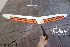 DLG-GLiders-microbirds-RC-Gliders-radio-controled-toys-hobby-balsa-wood-carbon-fiberl