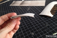 owl bird hawk wing airfoil section feather