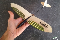 nano rc airplane micro owl nano feather dlg glider
