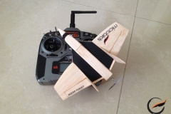MICRO-FUNJET-ULTRA-2-RC-AIRPLANE-RADIO-CONTROL-MICROBIRDS-MULTIPLEX-SERVO-NANO-HOBBYKING