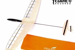 RC-Glider-DLG-Glider-Discus-Launch-Glider-radio-control-airplane-spektrum-micro-mini-microbirds-feather-squared-glider