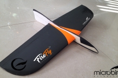 RC-Glider-DLG-Radio-Control-airplanes-servos-delta-flyign-wing-rc-bungee-microbirds-firefly-radio-control-remote-control-airplanes-fly-glider-thermal-lift