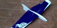 Slope-Soaring Planes Firefly DLG HLG RC Aircraft