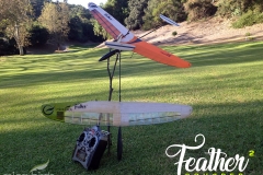 dlg-glider