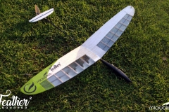dlg-gliders-feather-microbirds