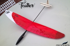 feather-squared-worlds-lightst-rc-glider-radio-controlled-microbirds-funhobby-glider-plane-fly-slope-soaring