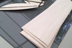 flingshot-micro-dlg-glider-discus-launch-glider-kit-hobby-grade-microbirds-RC-plane-glider