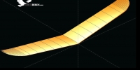 flingshot-wing-foil-analysis-mesh-mini-HLG-glider-airfoil-test