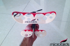 lazy-bee-2020-rc-hobby-airplane-microbirds-small-size-plans-blueprints-build-DIY-micro-plane-toy
