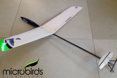 micro-dlg-rc-glider-radio-control-remote-control-airplane