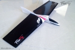 micro-slope-radio-controll-rc-glider-airplane-hand-launch-rc