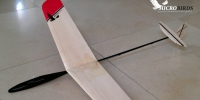 micro RC radio control small little DLG HLG glider hadn launch glider mini