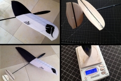 microbirds-mini-micro-ultralight-weight-dlg-rc-glider