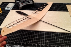 microbirds-ultarlight-DLG-feather-rc-glider-2019-design-prototype-2