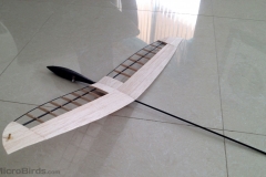 microbirds-ultarlight-DLG-feather-rc-glider-2019-design-prototype-3