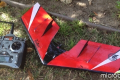 microsonic-flyign-wing-microbirds-fast-delta-wing