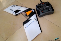 microsonic-micro-24-inch-flying-wing-rc-radio-control-delta-microbirds-wing-
