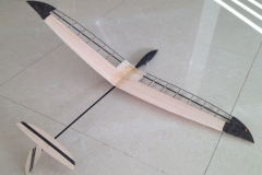 mini-micro-small-light-weight-rc-glider-dlg-hlg-slope-soaring-hand-launch-glider