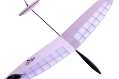 rc-radio-control-DLG-Discus-launch-Glider-kits-airplane-hobby