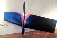 ultralight-radio-controll-rc-glider-airplane-DLG-hand-launch-rc-firefly-microbirds