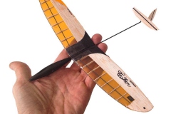 worlds-smallest-airplane-rc-glider-nano-feather-dlg-glider-microbirds-feather-nano