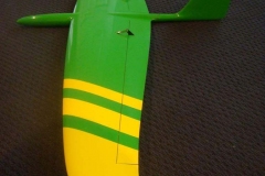 Atomic-pickle-Atomic-Wedgee-rc-glider