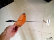 FullSizeRender(3)