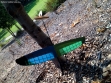 feather-squared-micro-dlg-glider-ultralight-microbirds-rc-glider