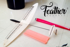 Feather-Squared-ultralight-micro-discus-launch-dlg-glider-2019-desing-microbirds